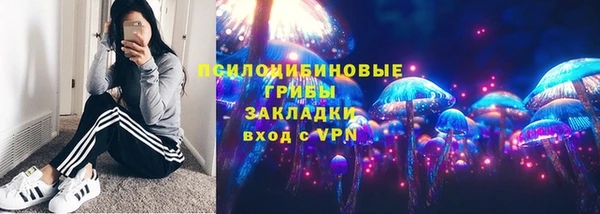 героин Лагань