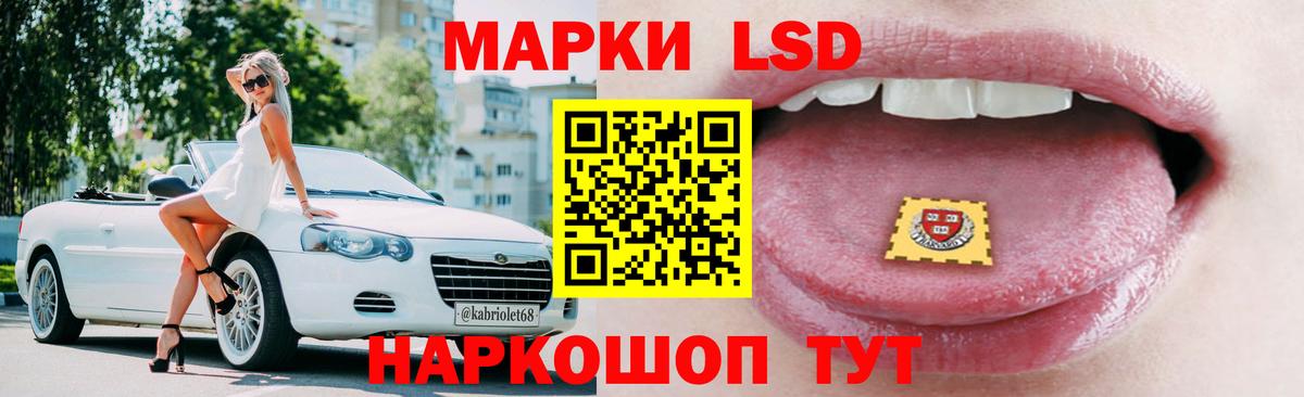 Псилоцибиновые грибы Бердск