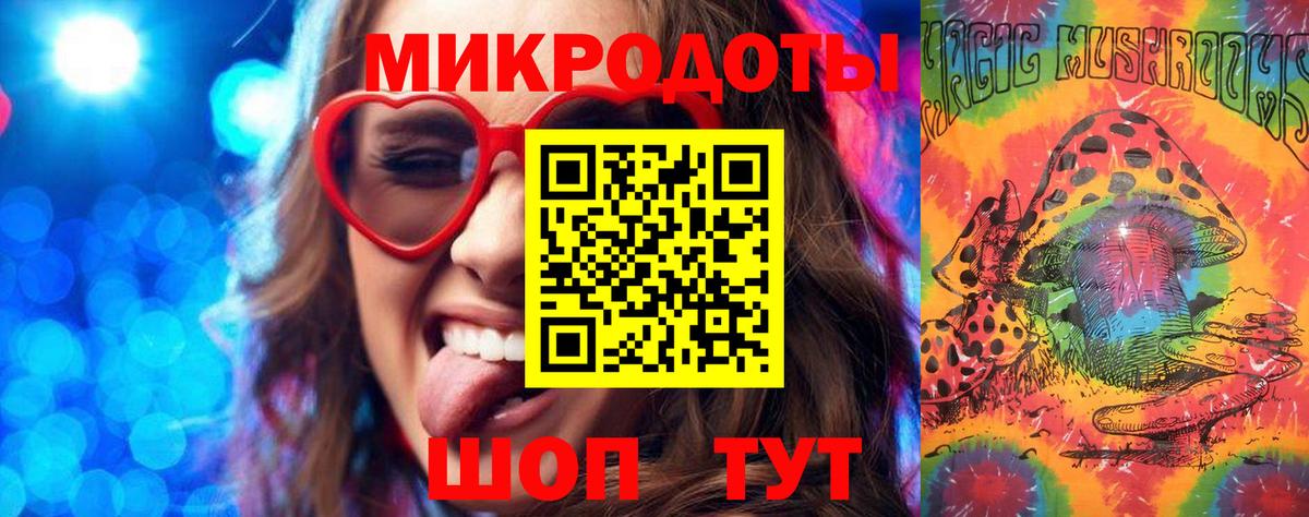 Бердск  Псилоцибиновые грибы прущие грибы  наркотики  Вход с VPN  Псилоцибиновые грибы Psilocybe 