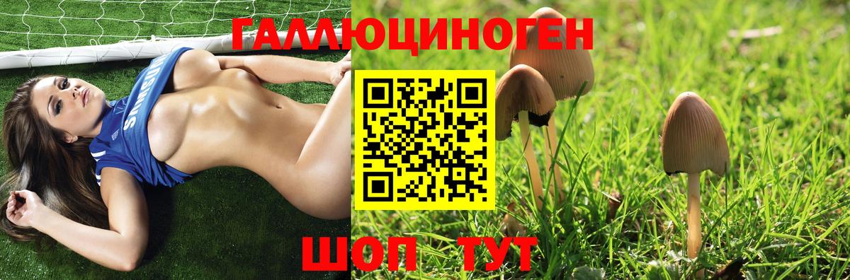Псилоцибиновые грибы Cubensis Бердск