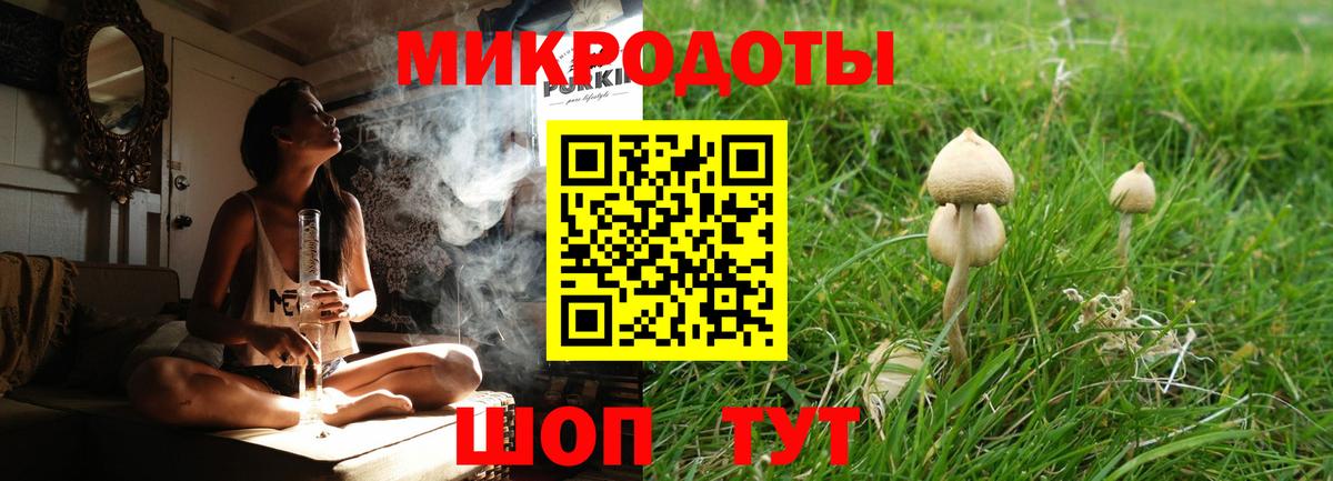 Псилоцибиновые грибы Cubensis  Галлюциногенные грибы Magic Shrooms  Бердск 